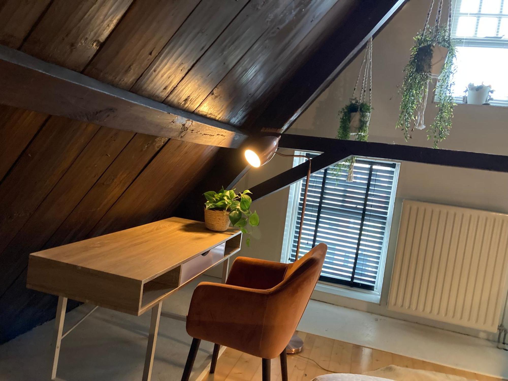 Elegant Appartement In Pakhuis Friesland Centrum Leeuwarden Bagian luar foto